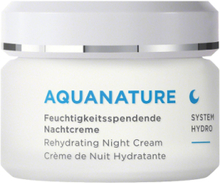 Aquanature Rehydrating Night Cream Beauty Women Skin Care Face Moisturizers Night Cream Nude Annemarie Börlind