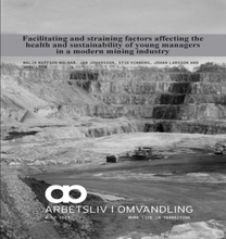 Facilitating and straining factors affecting the health and sustainability of young managers in a modern mining industry : self-fulfilment and develop