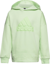U Fi Logo Hd Sport Sweatshirts & Hoodies Hoodies Green Adidas Performance