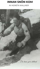 Innan snön kom - mötet mellan Stig Dagerman och Nils-Erik Wallner 1942