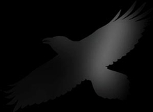 Sigur Rós: Odin"'s raven magic 2020
