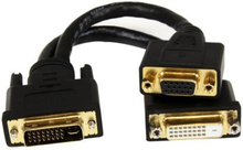 DVI-I -kabel til DVI-D og VGA Startech DVI92030202L Sort 0,2 m