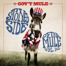 Gov"'t Mule: Stoned side of the mule 2015