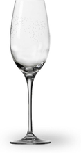 Wik & Walsøe Dugg Champagneglass 30cl