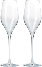 Aida - Passion Connoisseur champagneglass 26,5 cl 2 stk