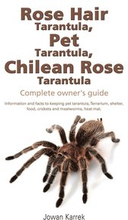 Rose Hair Tarantula, Pet Tarantula, Chilean Rose Tarantula