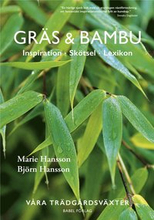 Gräs & bambu : inspiration - skötsel - lexikon