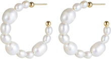 Posh Pearl Hoop Earring Accessories Jewellery Earrings Hoops Gold Bud To Rose