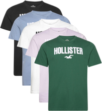 Hco. Guys Graphics Tops T-Kortærmet Skjorte Multi/patterned Hollister