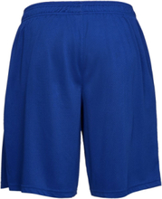 Ua Tech Mesh Shorts Sport Shorts Sport Shorts Blue Under Armour