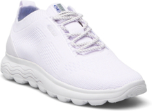D Spherica A Low-top Sneakers White GEOX