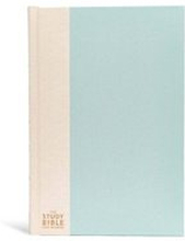 The CSB Study Bible For Women, Light Turquoise/Sand Hardcover