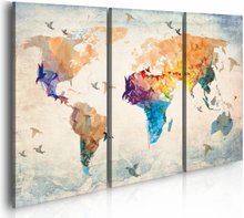 Schilderij - Wereldkaart - Vrij als een vogel, 3luik , multikleur , wanddecoratie , premium print op echt Italiaans canvas
