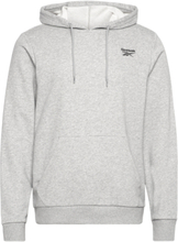 Ri Ft Left Chest Oth Sport Sweatshirts & Hoodies Hoodies Grey Reebok Classics