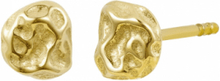 Ridge Mini Stud Earring Accessories Jewellery Earrings Studs Gold Bud To Rose