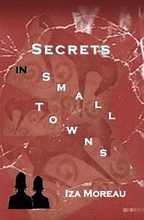 Secrets in Small Towns: (Small Town Series, Number 3)