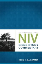 Niv Bible Study Commentary