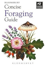 Concise Foraging Guide