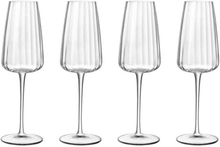 Champagneglas Optica 4-pack, 21 cl - Luigi Bormioli