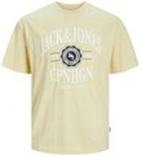 Jack & Jones T-shirts med korta ärmar 12251899 JORLUCCA
