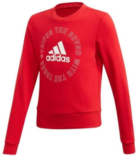 Sweatshirt uden hætte til piger Adidas G Bold Crew Rød XL