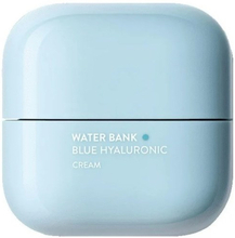 Laneige Water Bank Blue Hyaluronic Cream For Oily To Combination