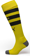 Team Bvb Striped Socks Replica Sport Socks Football Socks Green PUMA