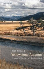 Yellowstone Autumn