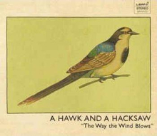 A Hawk And A Hacksaw: Way The Wind Blows