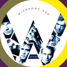 Wishbone Ash: Here to hear 1989