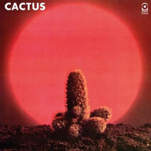 Cactus: Cactus