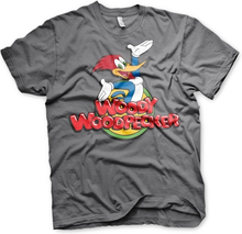 Woody Woodpecker Classic Logo T-Shirt, T-Shirt