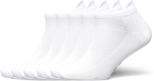 Unisex 5-Pack Running Socks Lingerie Socks Footies/Ankle Socks Hvit ZEBDIA*Betinget Tilbud