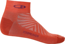Icebreaker Icebreaker Men's Run+Ultralight Mini Vibrant Earth/Go Berry Träningsstrumpor S