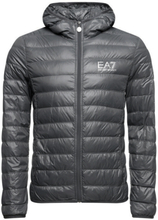 Armani EA7 Padded Light Jacket Grey