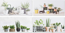 Maleri DKD Home Decor Blomster, planter og træer (80 x 2,3 x 40 cm) (80 x 2 x 40 cm) (4 enheder) (12 enheder)