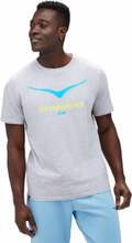 Hoka Hoka Men's Topo Logo Short Sleeve HEATHER GREY T-shirts S
