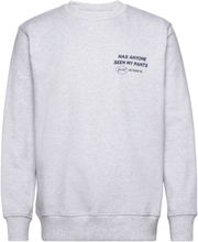 Nb Anniversary Sweatshirt Grey Designers Sweatshirts & Hoodies Sweatshirts Grey Nikben