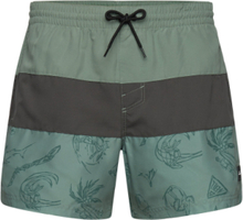 Mix & Match Cali Block 15'' Swim Shorts Badeshorts Green O'neill