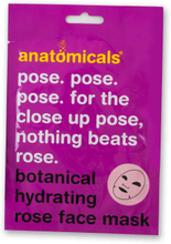 Anatomicals Bot Rose Hydrating Face Mask 300 ml