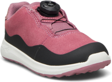 Dannie Lace Tex Low-top Sneakers Pink Bundgaard