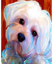 Malteser, Weißer Hund – Malen nach Zahlen, 40x50cm / Ohne Rahmen / 24 Farben (Einfach)