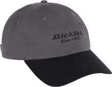 Dickies Dickies Men's Twill Dad Hat Graphite Kepsar OneSize