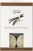 Zestaw 12 świeczek zapachowych Madagascar Vanilla