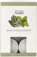 Zestaw 12 świeczek zapachowych Mint and Eucalyptus