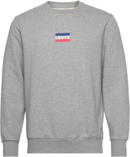 Standard Graphic Crew Mini Spo Tops Sweatshirts & Hoodies Sweatshirts Grey LEVI´S Men