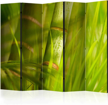 Skærmvæg bamboo - nature zen II