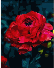 Rote Rose – Malen nach Zahlen, 40x50cm / Mit Keilrahmen / 24 Farben (Einfach)
