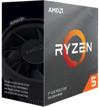 AMD Ryzen 5 4600G processorer 3,7 GHz 8 MB L3 Låda
