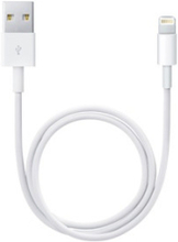 Apple Lightning / USB 0,5 m Vit